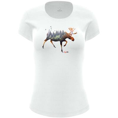JUTTA-ELK